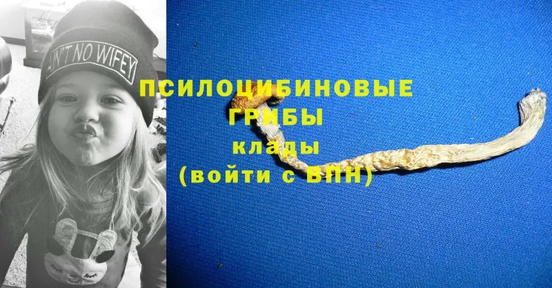 МЕГА зеркало  Каневская  Псилоцибиновые грибы MAGIC MUSHROOMS 